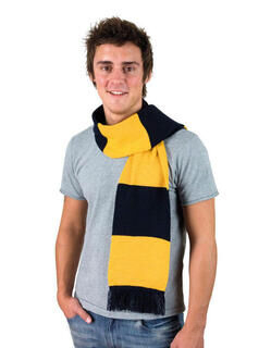 Team Scarf 2. picture