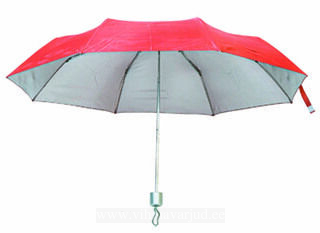 Umbrella Susan 2. kuva